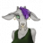 JaneDoeButt